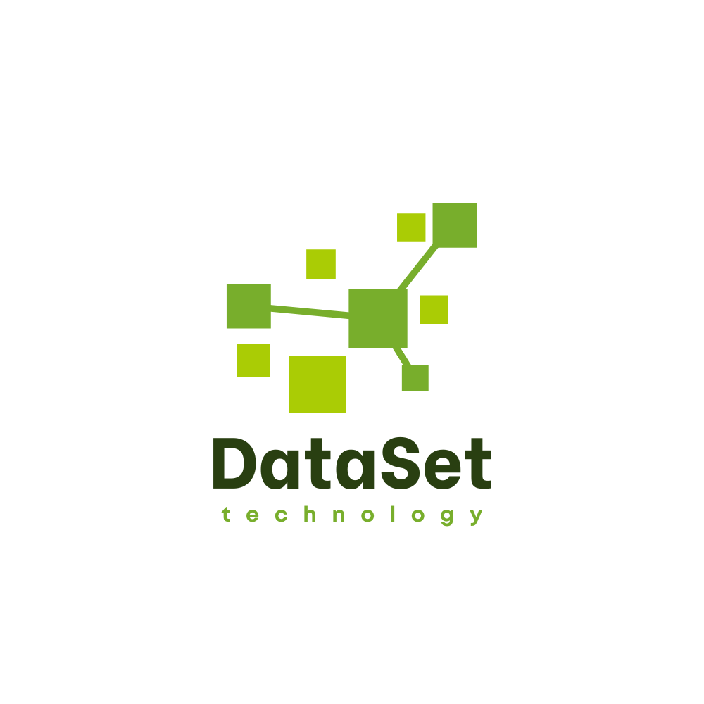 DataSet Logo